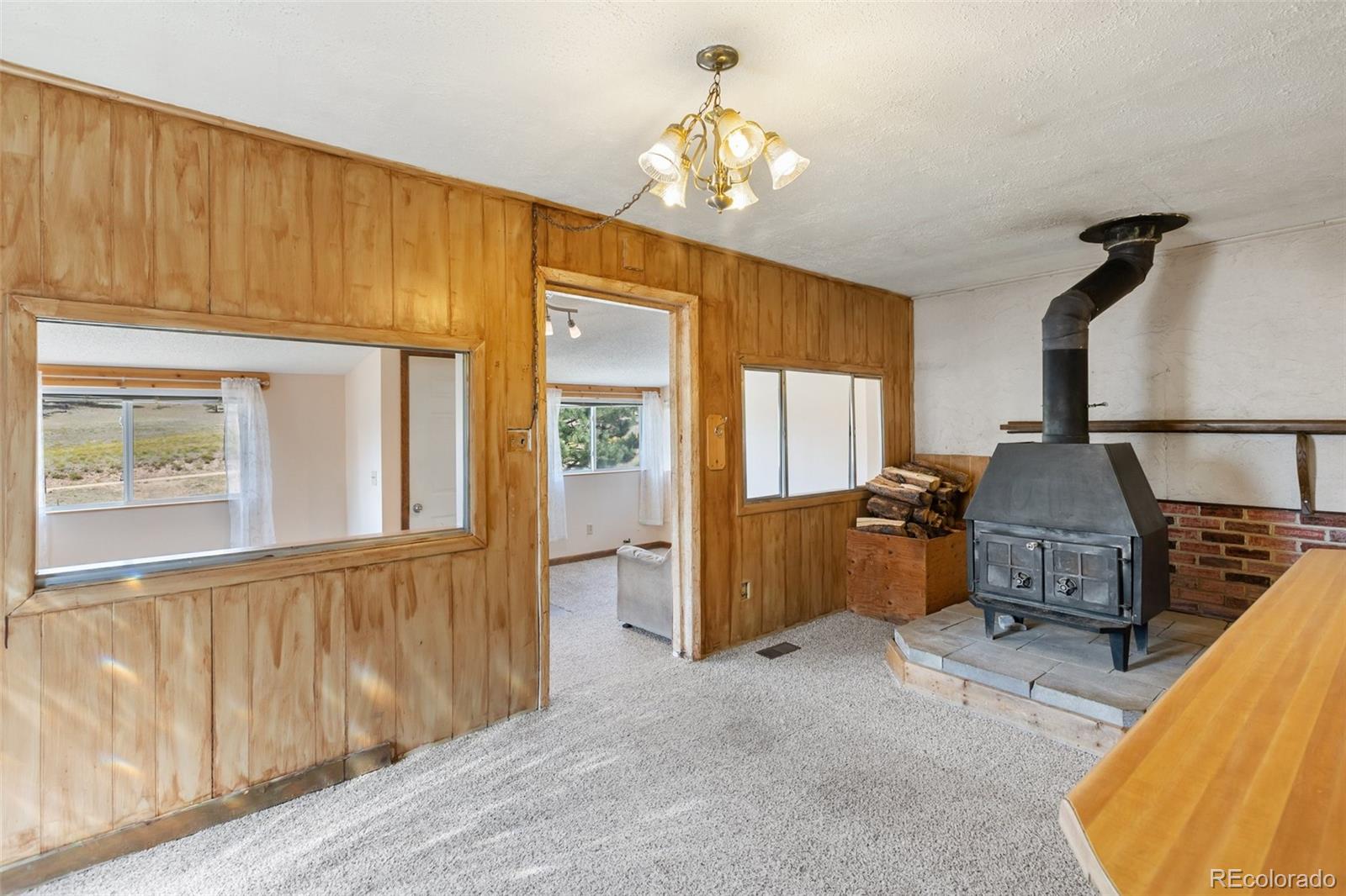 272 Spring Valley Trail Florissant CO 80816