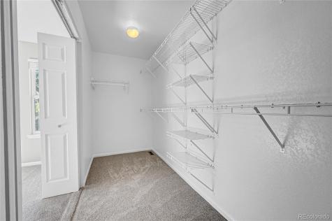 498 Sylvestor Trail Highlands Ranch CO 80129