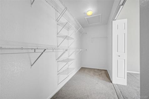498 Sylvestor Trail Highlands Ranch CO 80129