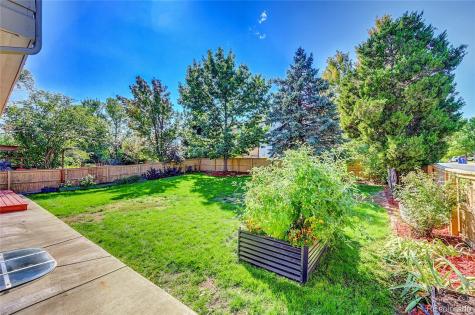 498 Sylvestor Trail Highlands Ranch CO 80129