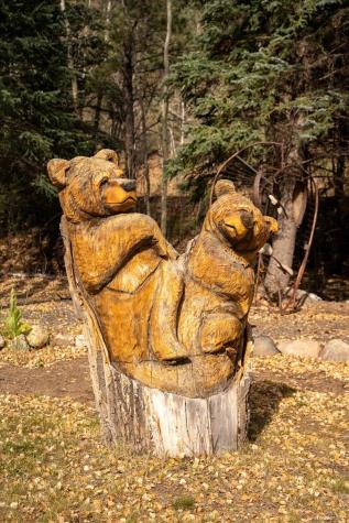 2971 Fall River Road Idaho Springs CO 80452