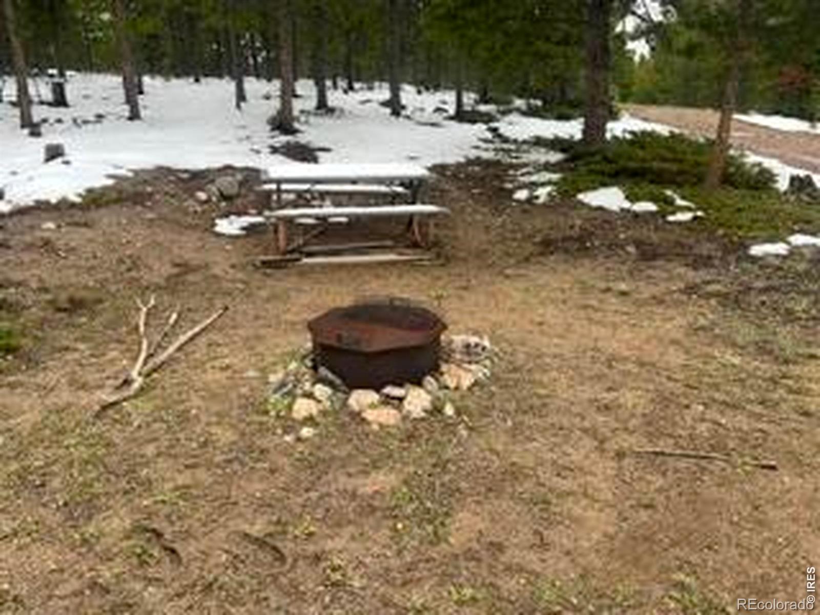 321 Shasta Way Red Feather Lakes CO 80545