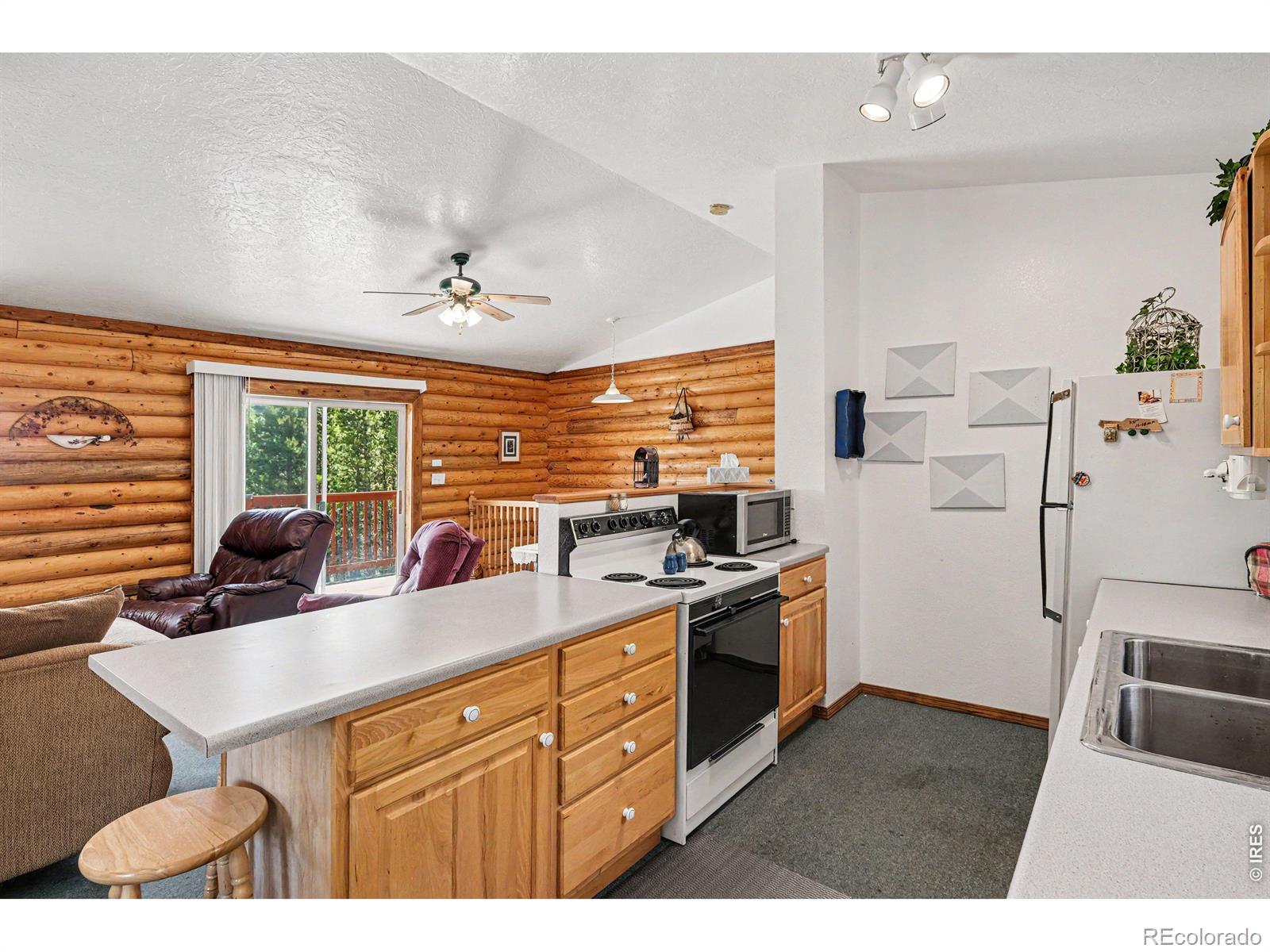 321 Shasta Way Red Feather Lakes CO 80545