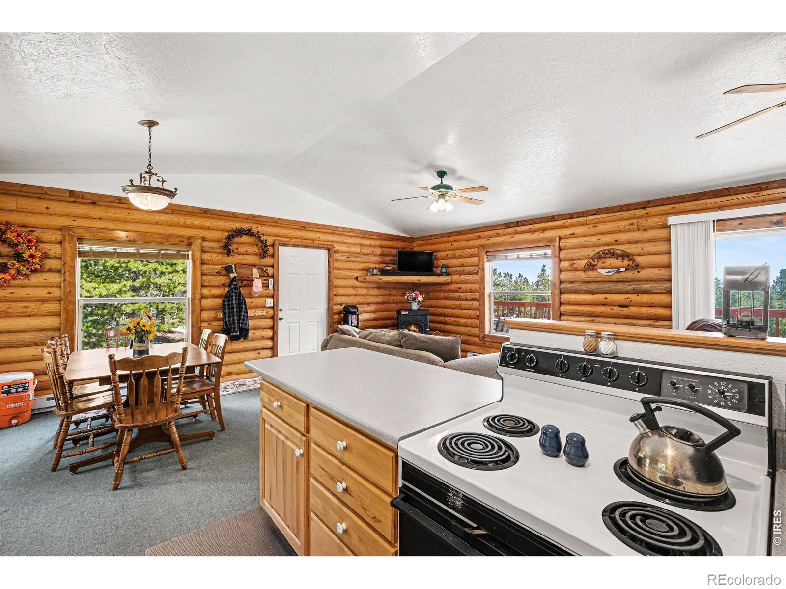 321 Shasta Way Red Feather Lakes CO 80545