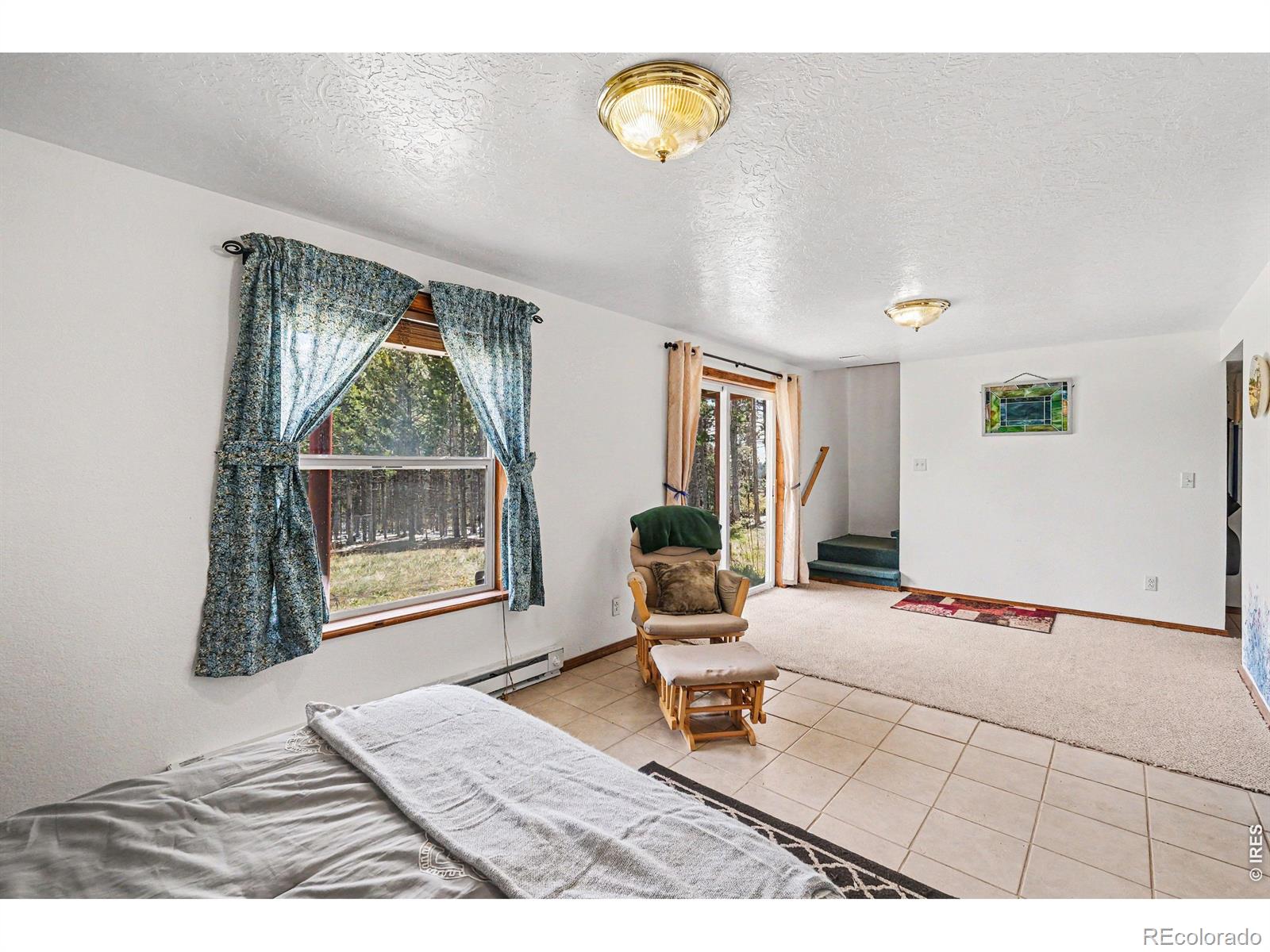 321 Shasta Way Red Feather Lakes CO 80545