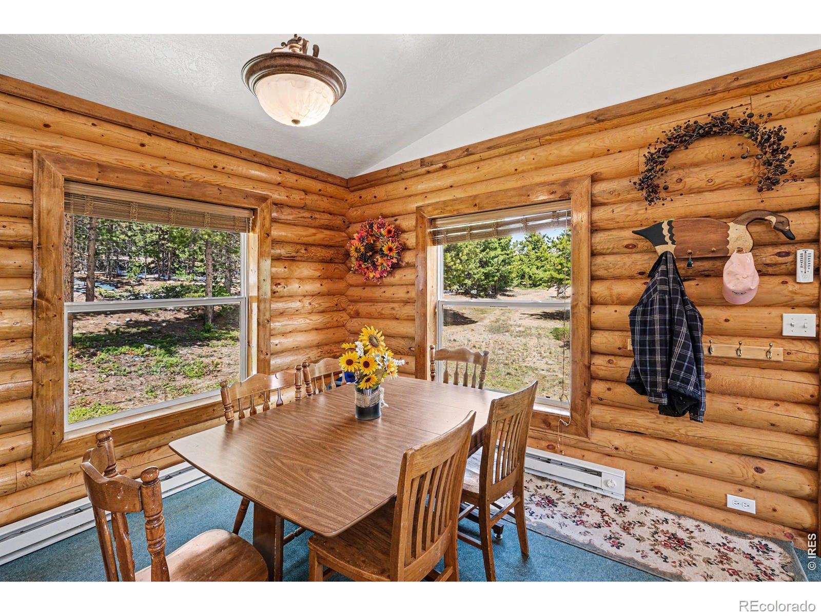 321 Shasta Way Red Feather Lakes CO 80545