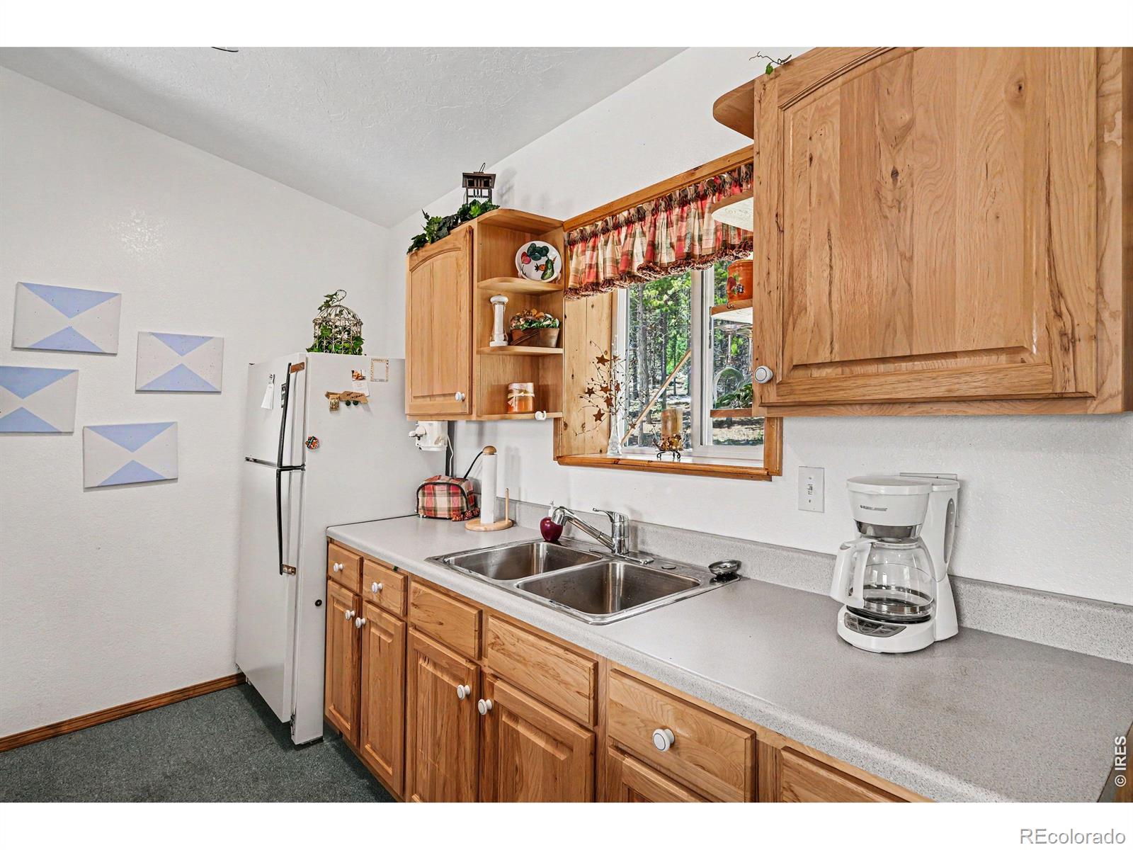 321 Shasta Way Red Feather Lakes CO 80545