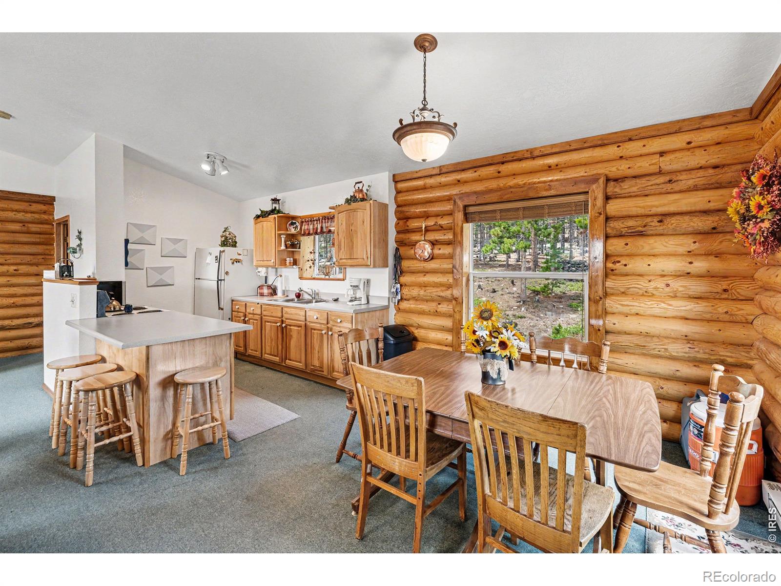 321 Shasta Way Red Feather Lakes CO 80545