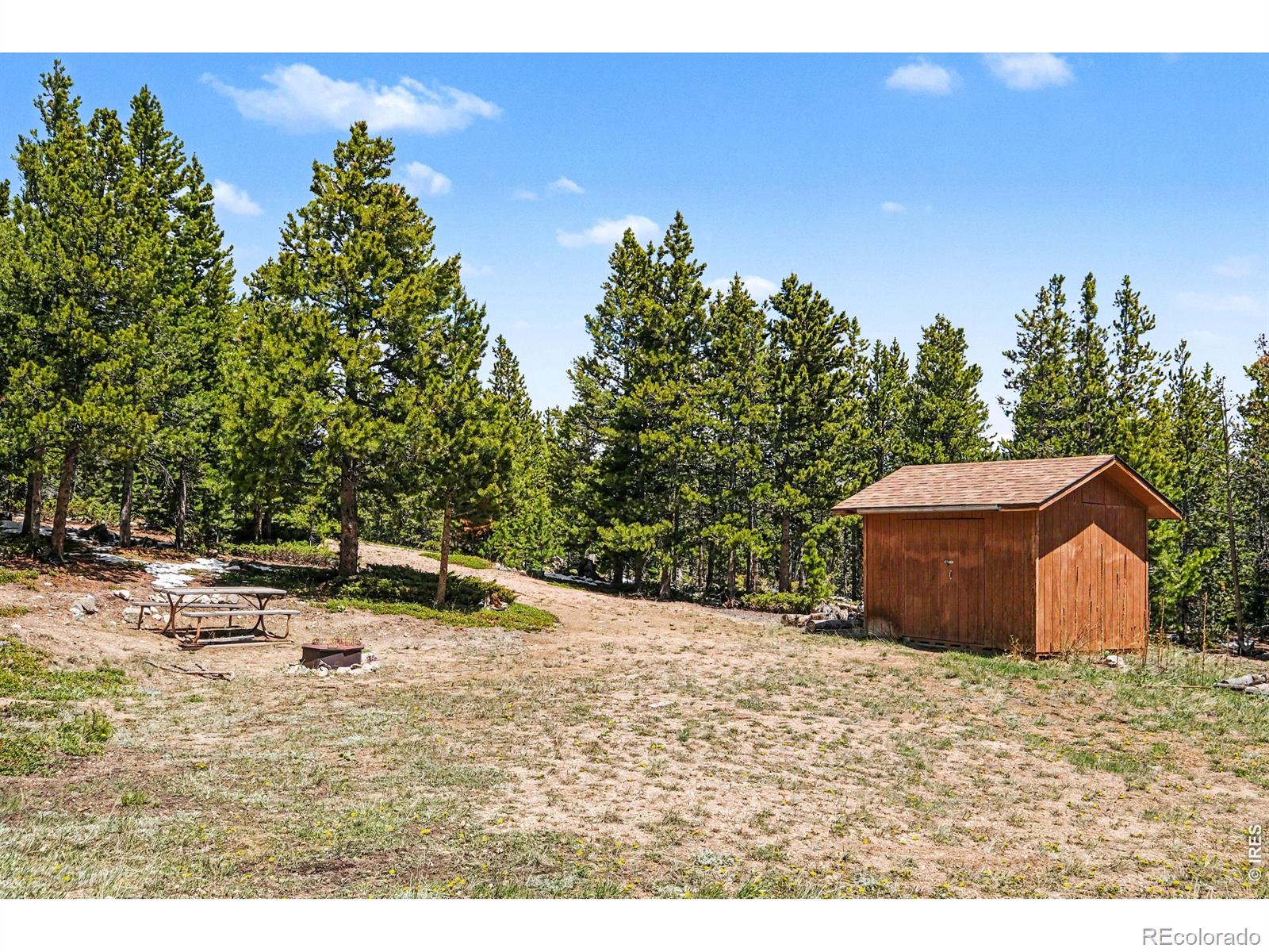 321 Shasta Way Red Feather Lakes CO 80545