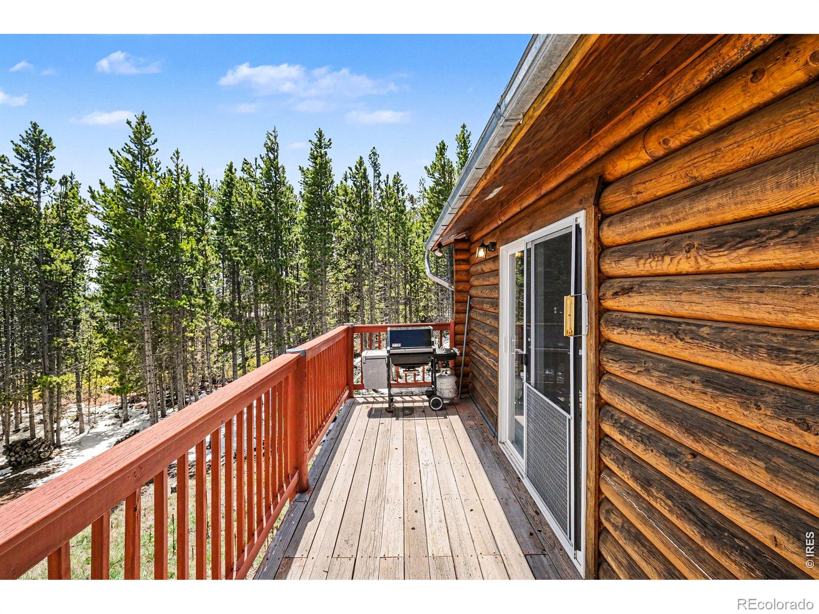 321 Shasta Way Red Feather Lakes CO 80545