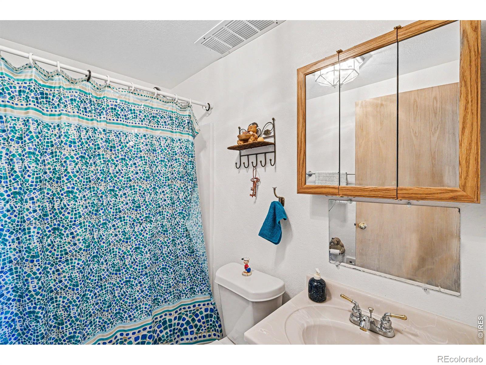 321 Shasta Way Red Feather Lakes CO 80545