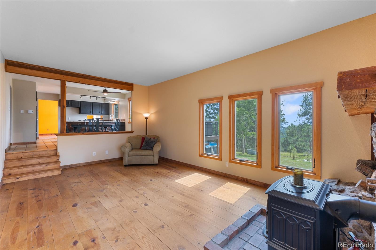 14534 S Wandcrest Drive Pine CO 80470