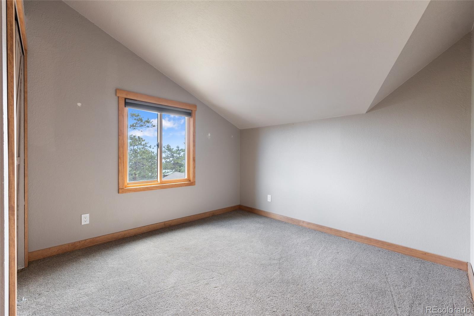 14534 S Wandcrest Drive Pine CO 80470