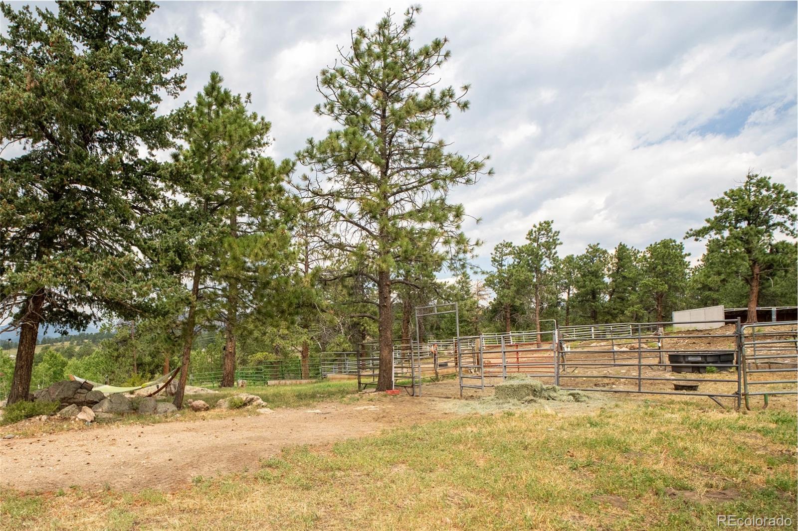 14534 S Wandcrest Drive Pine CO 80470