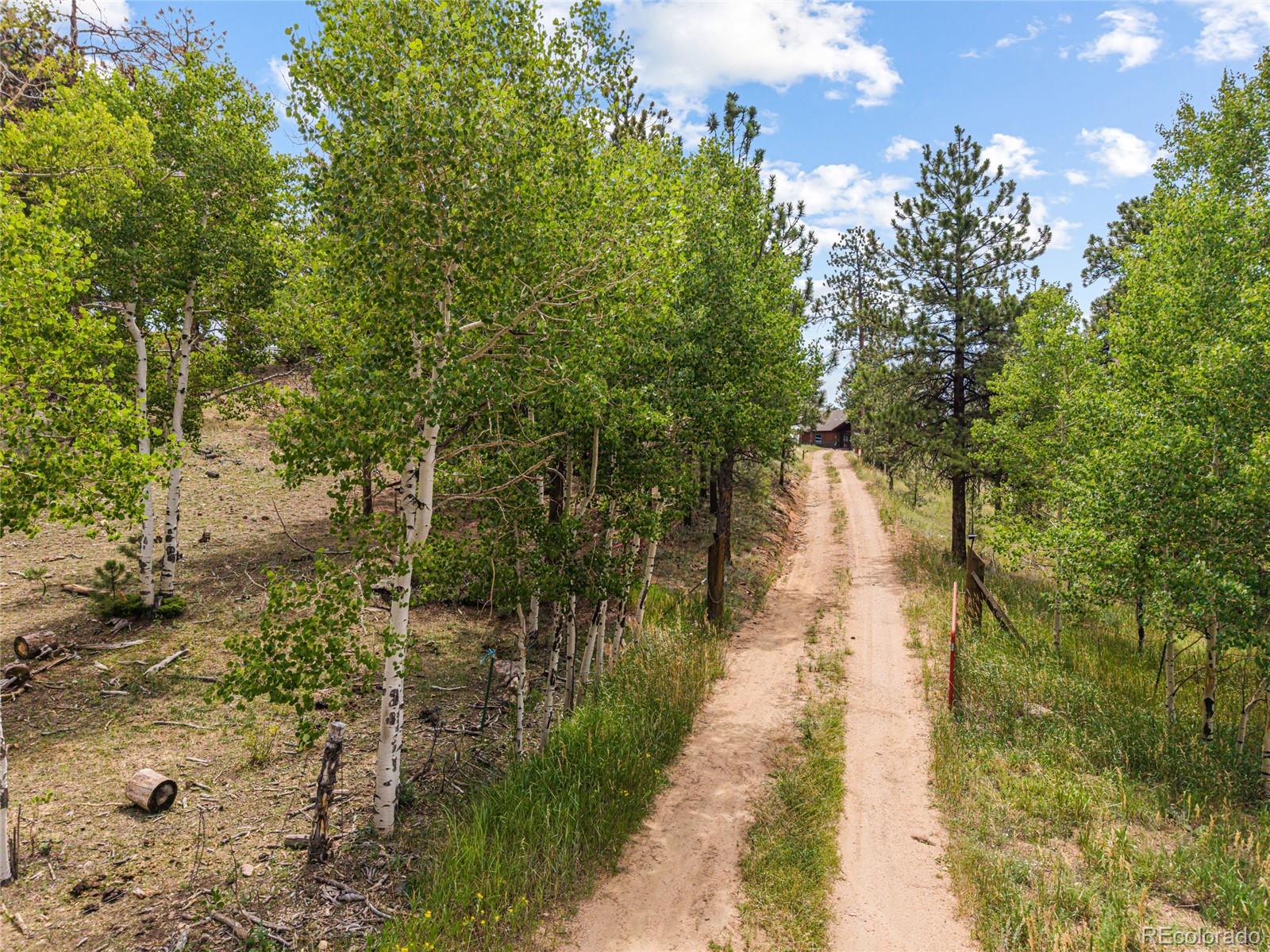 14534 S Wandcrest Drive Pine CO 80470