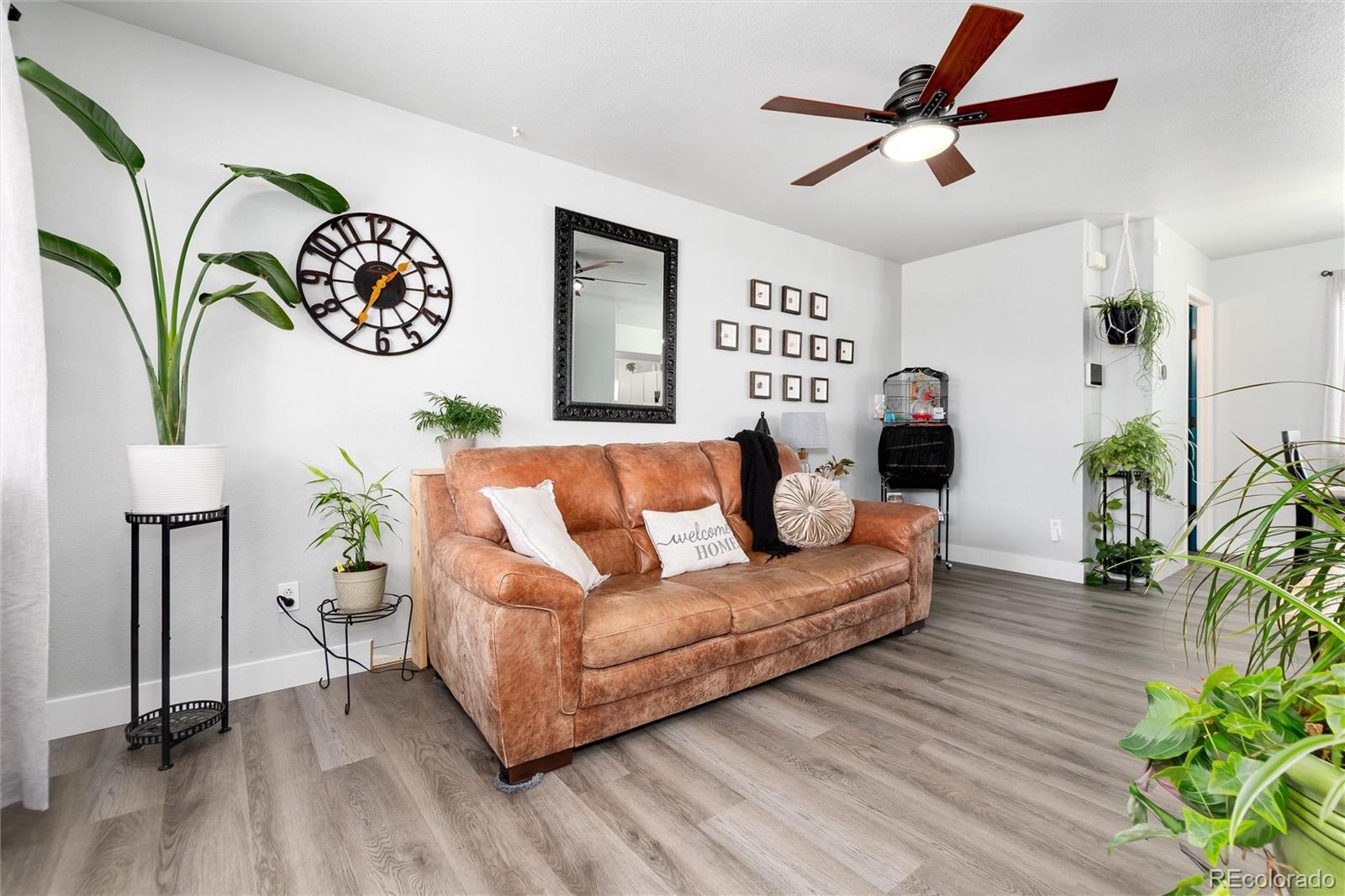 3709 Salida Court Evans CO 80620