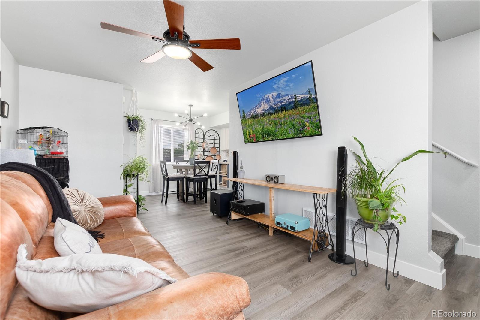 3709 Salida Court Evans CO 80620