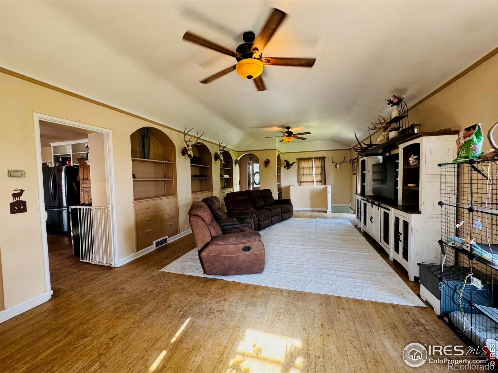 432 Lafever Street Walden CO 80480