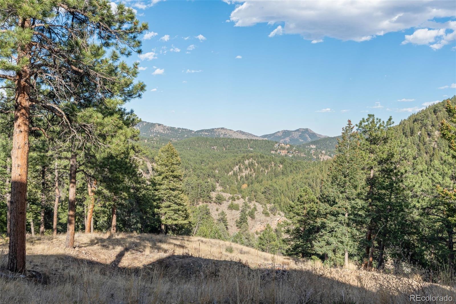 3344 Timbergate Trail Evergreen CO 80439