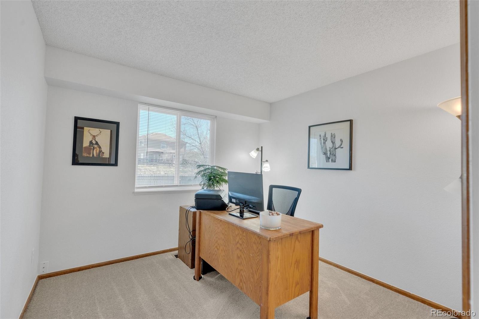 4320 Genoa Street Denver CO 80249