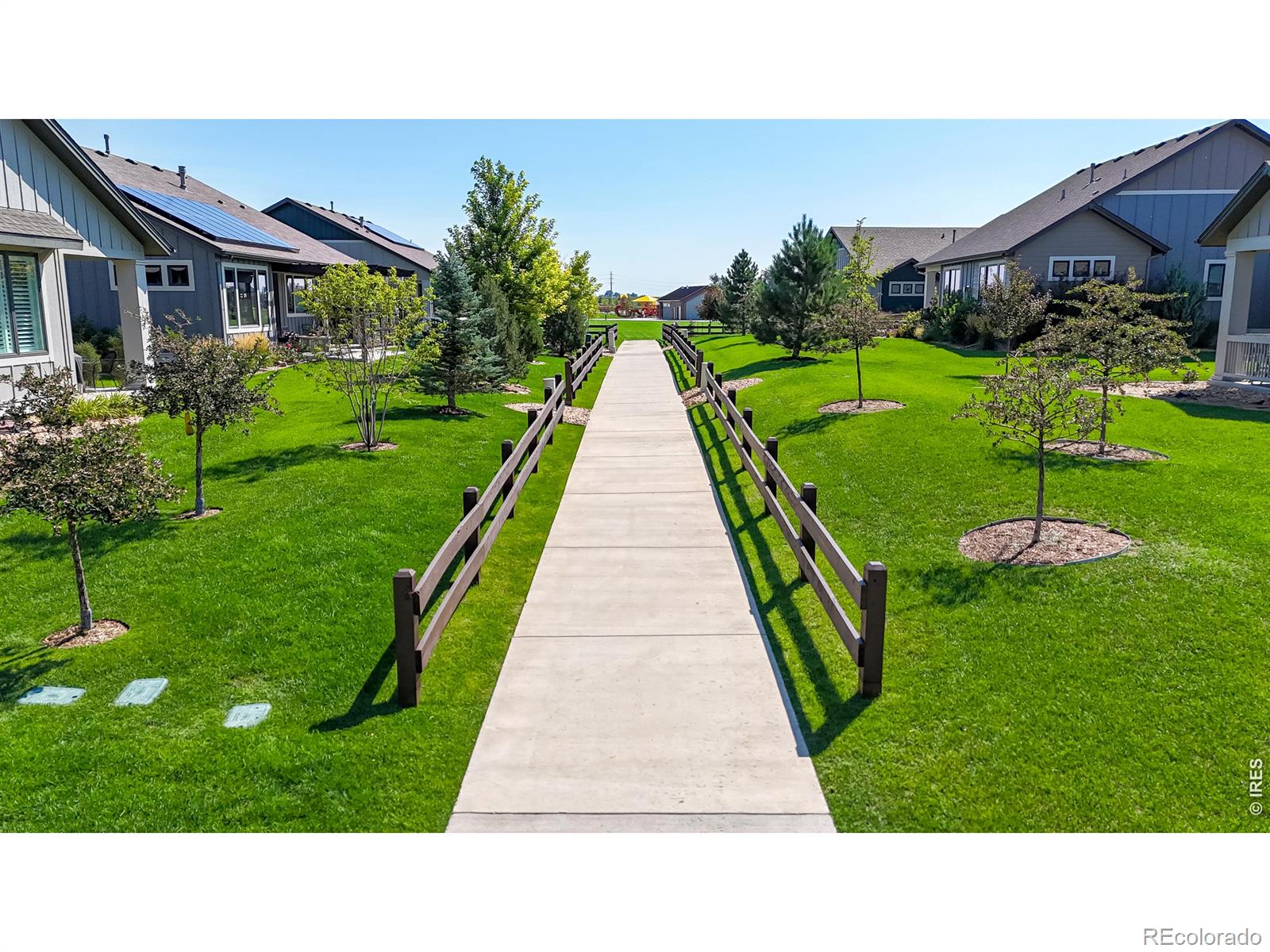 6990 Toponas Court Timnath CO 80547