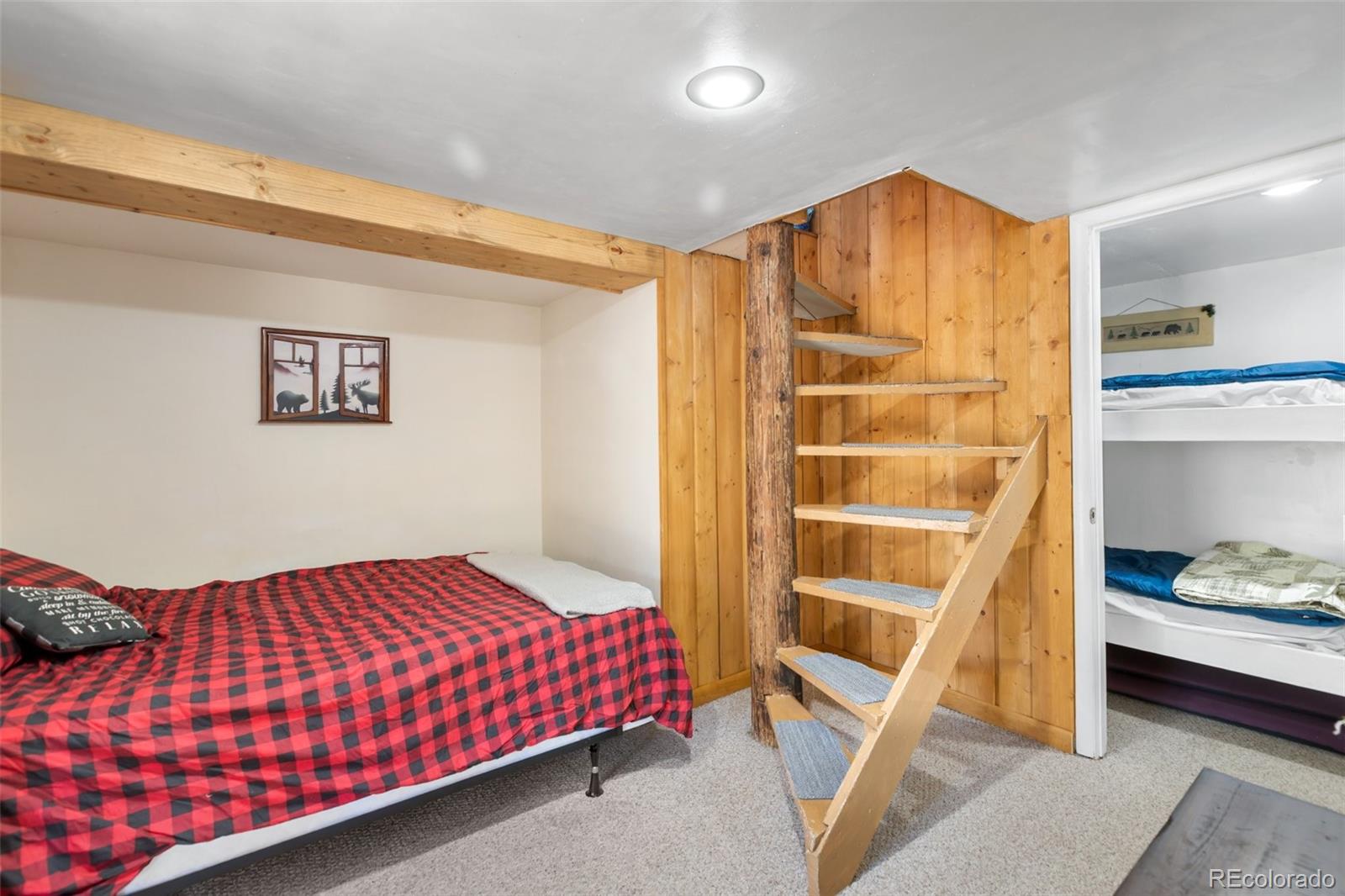 5870 Paona Road Cascade CO 80809