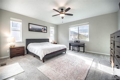 7408 Greenwater Circle Castle Rock CO 80108