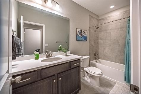 7408 Greenwater Circle Castle Rock CO 80108