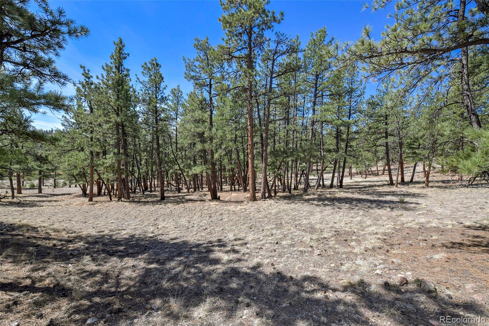 42 Hannah Circle Westcliffe CO 81252