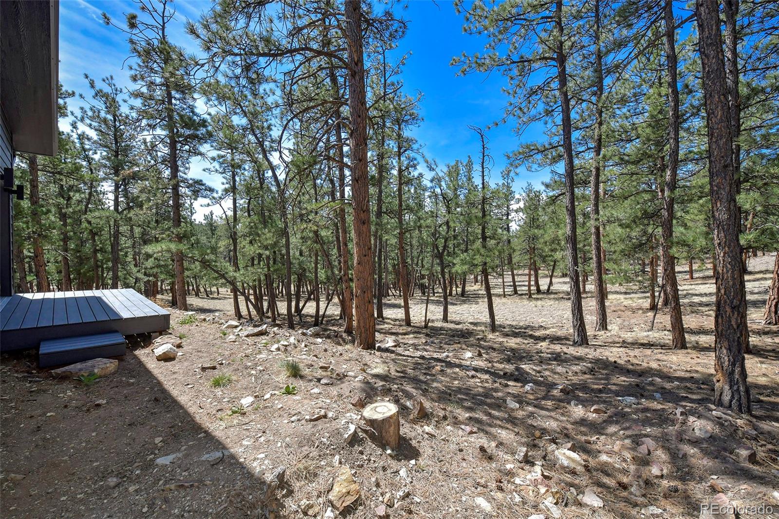 42 Hannah Circle Westcliffe CO 81252