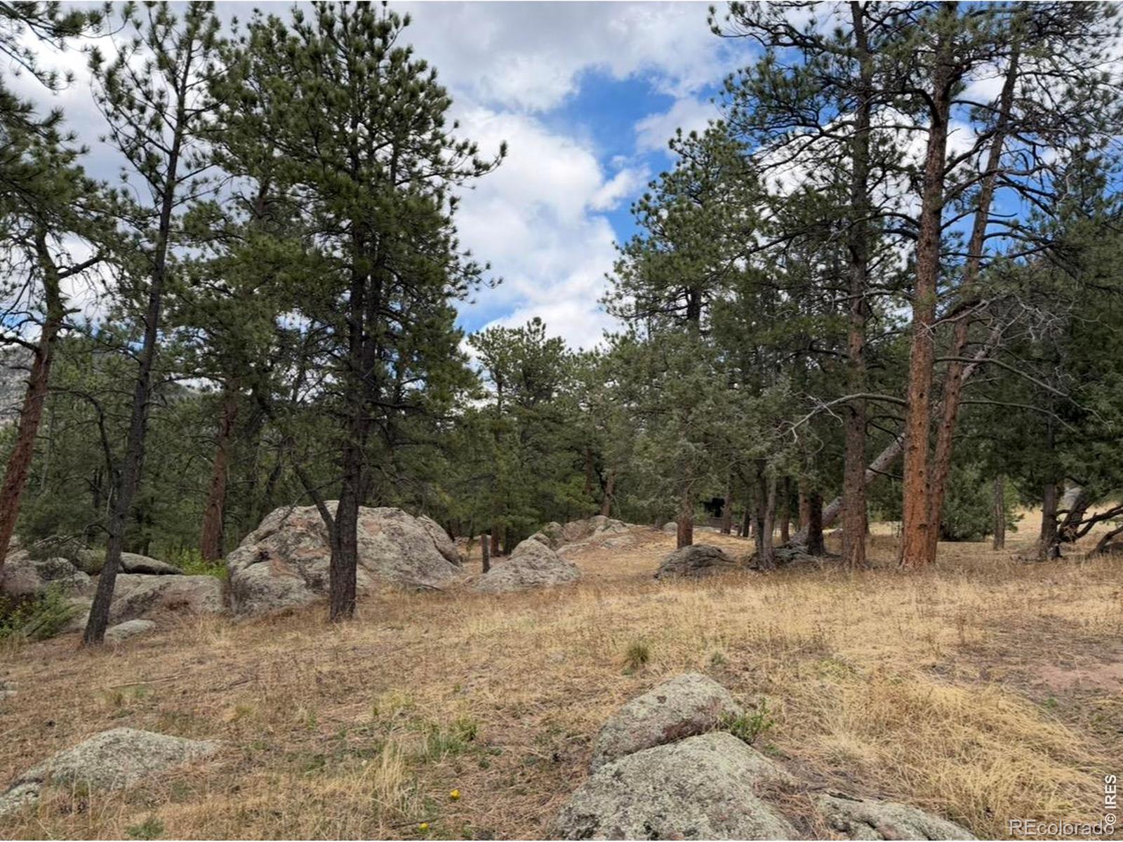 8 Estes Park Estates Drive Lyons CO 80540