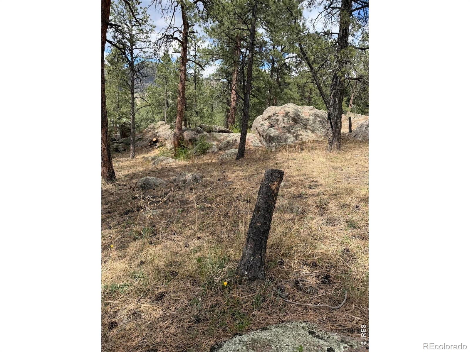 8 Estes Park Estates Drive Lyons CO 80540