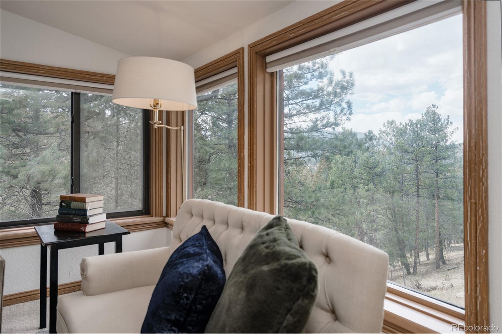 26885 Mountain Park Road Evergreen CO 80439
