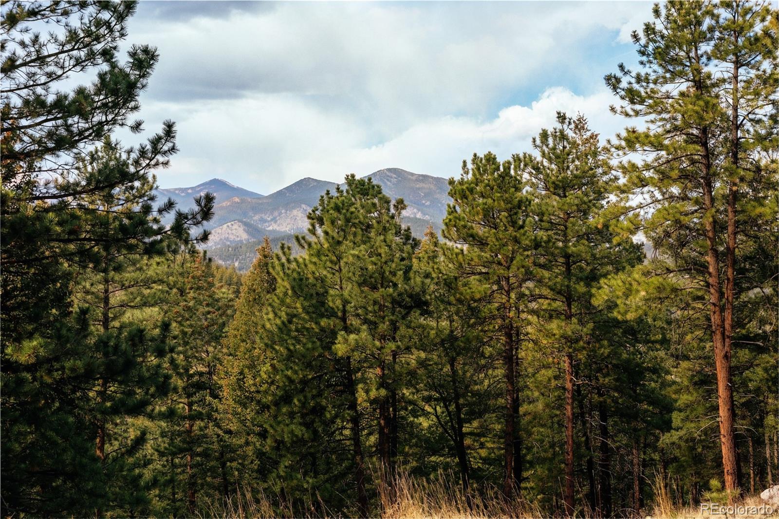 26885 Mountain Park Road Evergreen CO 80439