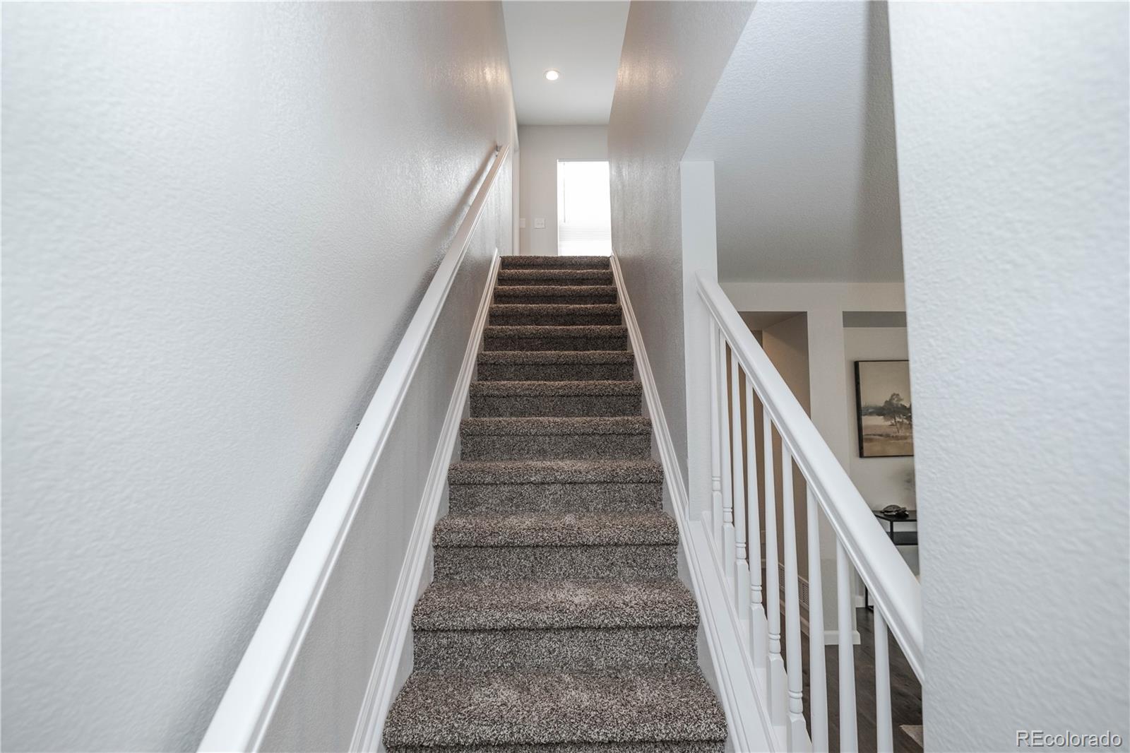 5887 Raleigh Circle Castle Rock CO 80104
