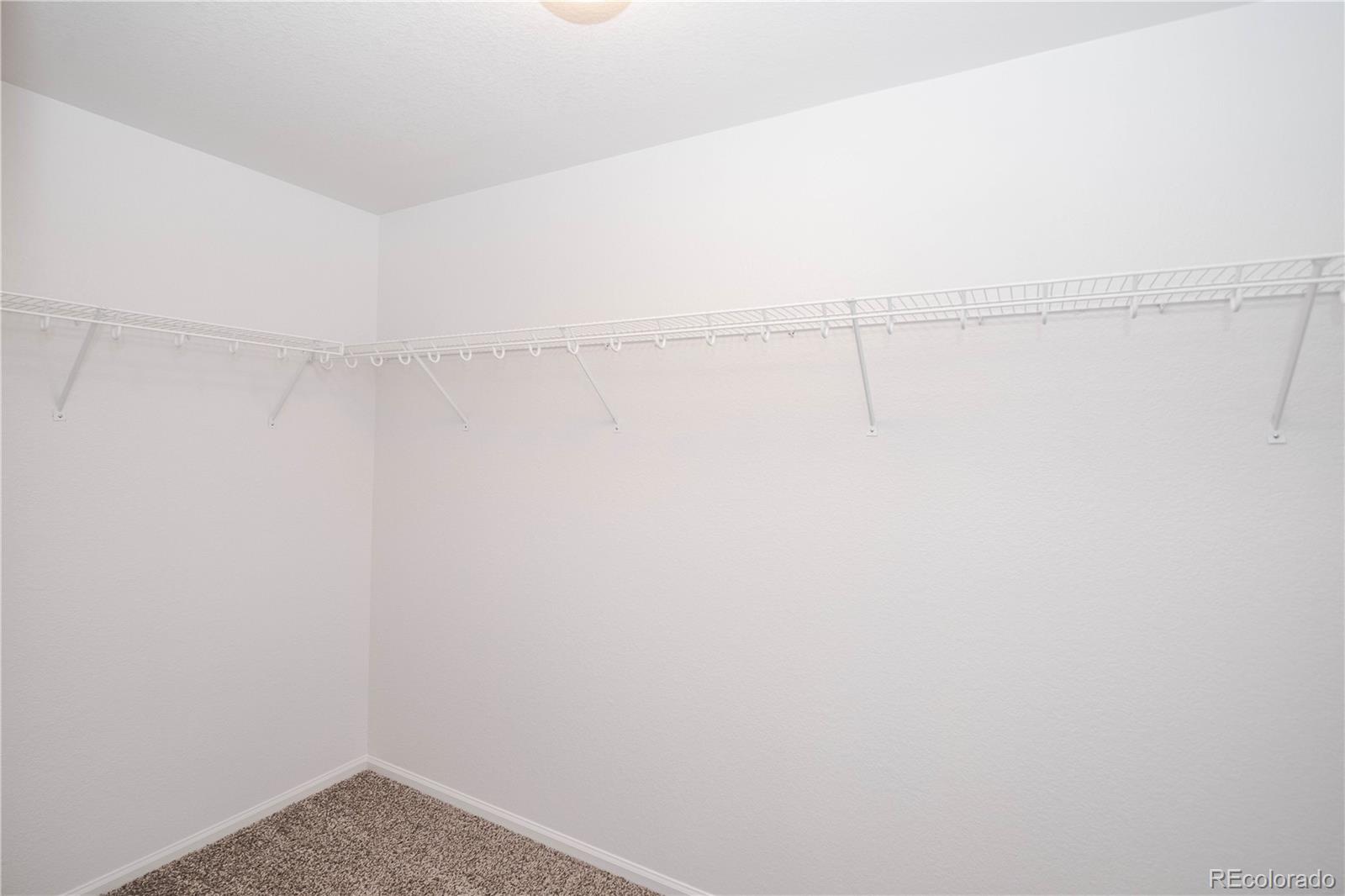 5887 Raleigh Circle Castle Rock CO 80104