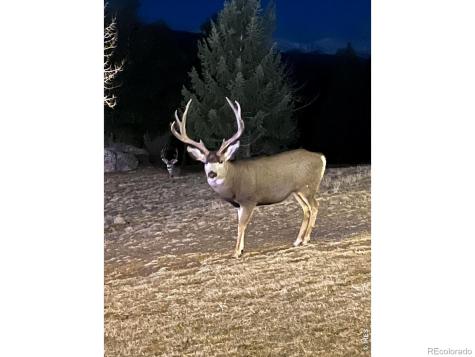 6917 Timbers Drive Evergreen CO 80439