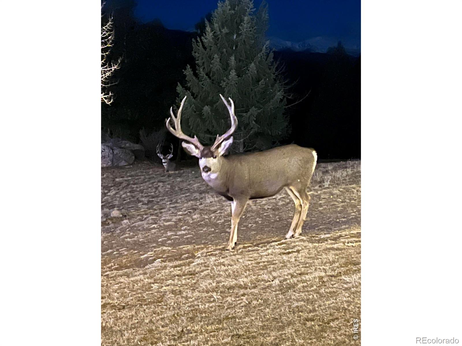 6917 Timbers Drive Evergreen CO 80439
