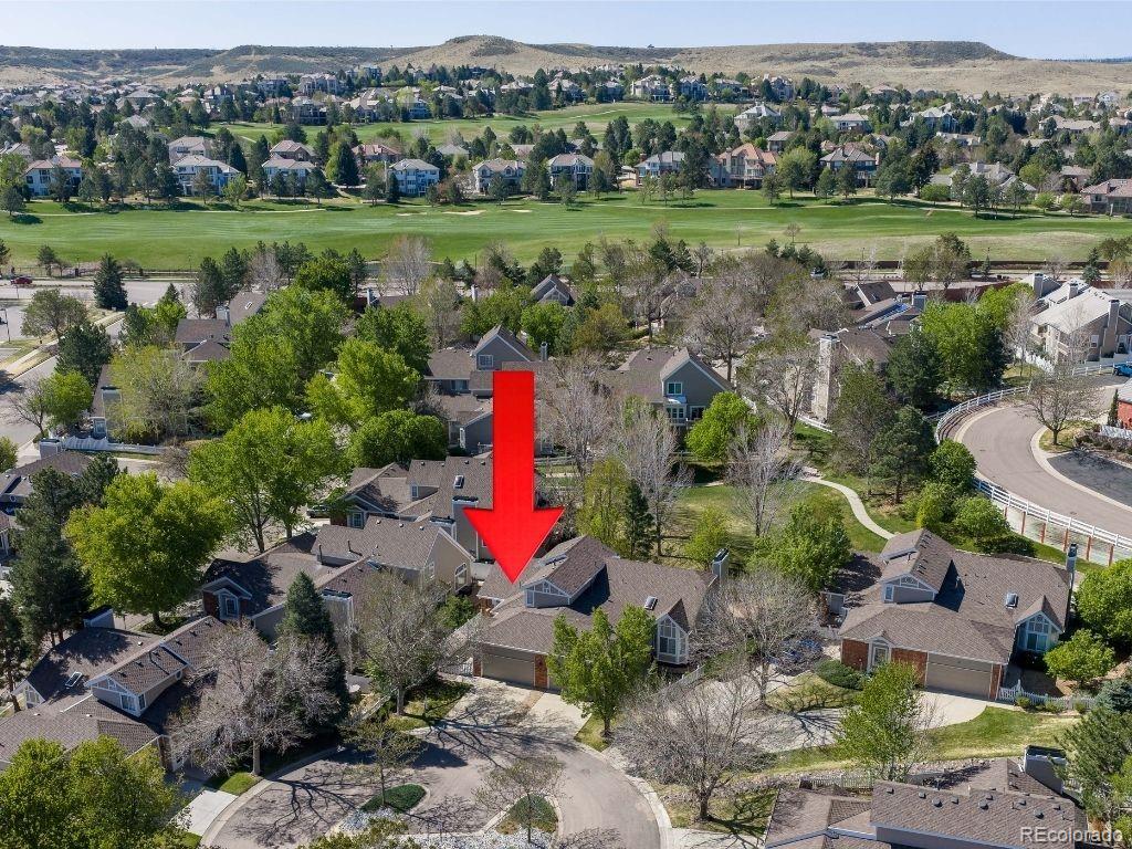 9807 Carmel Court Lone Tree CO 80124