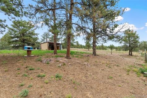 1703 Arapahoe Drive Florissant CO 80816