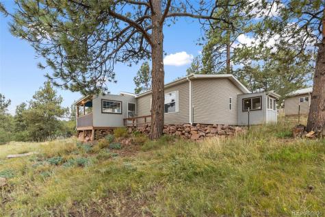 1703 Arapahoe Drive Florissant CO 80816