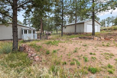 1703 Arapahoe Drive Florissant CO 80816