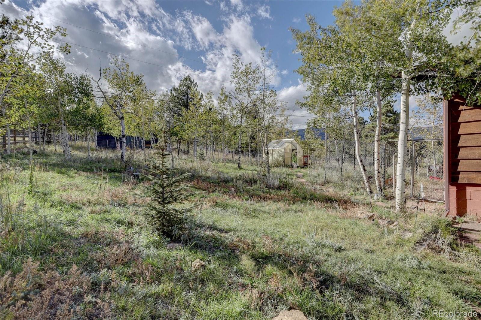 255 Saddlestring Road Bailey CO 80421