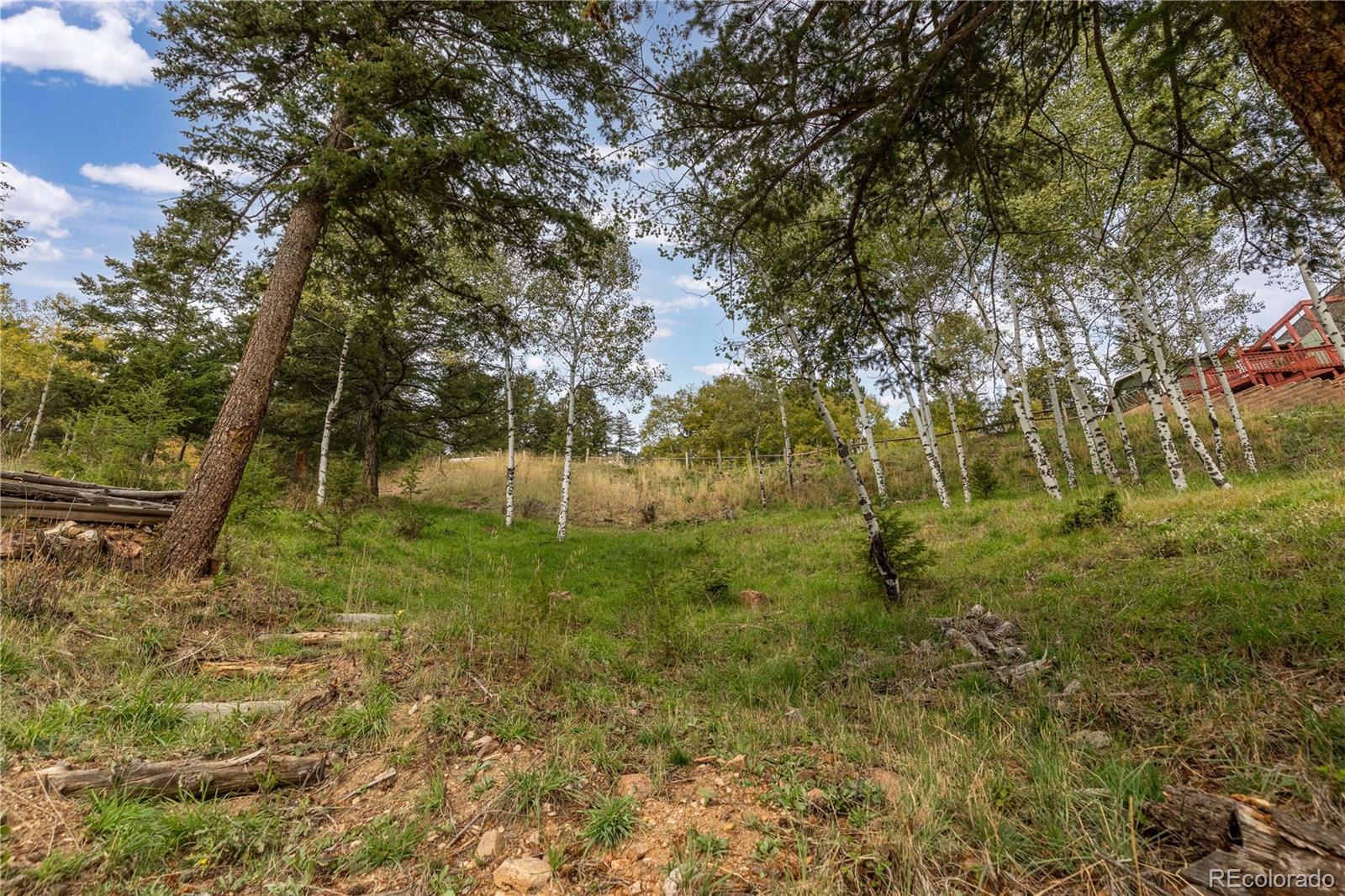 32209 Blue Springs Drive Evergreen CO 80439