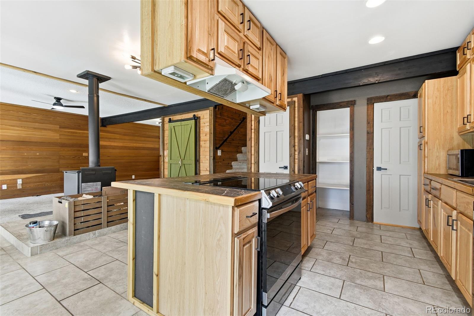 13287 S Otoe Street Pine CO 80470