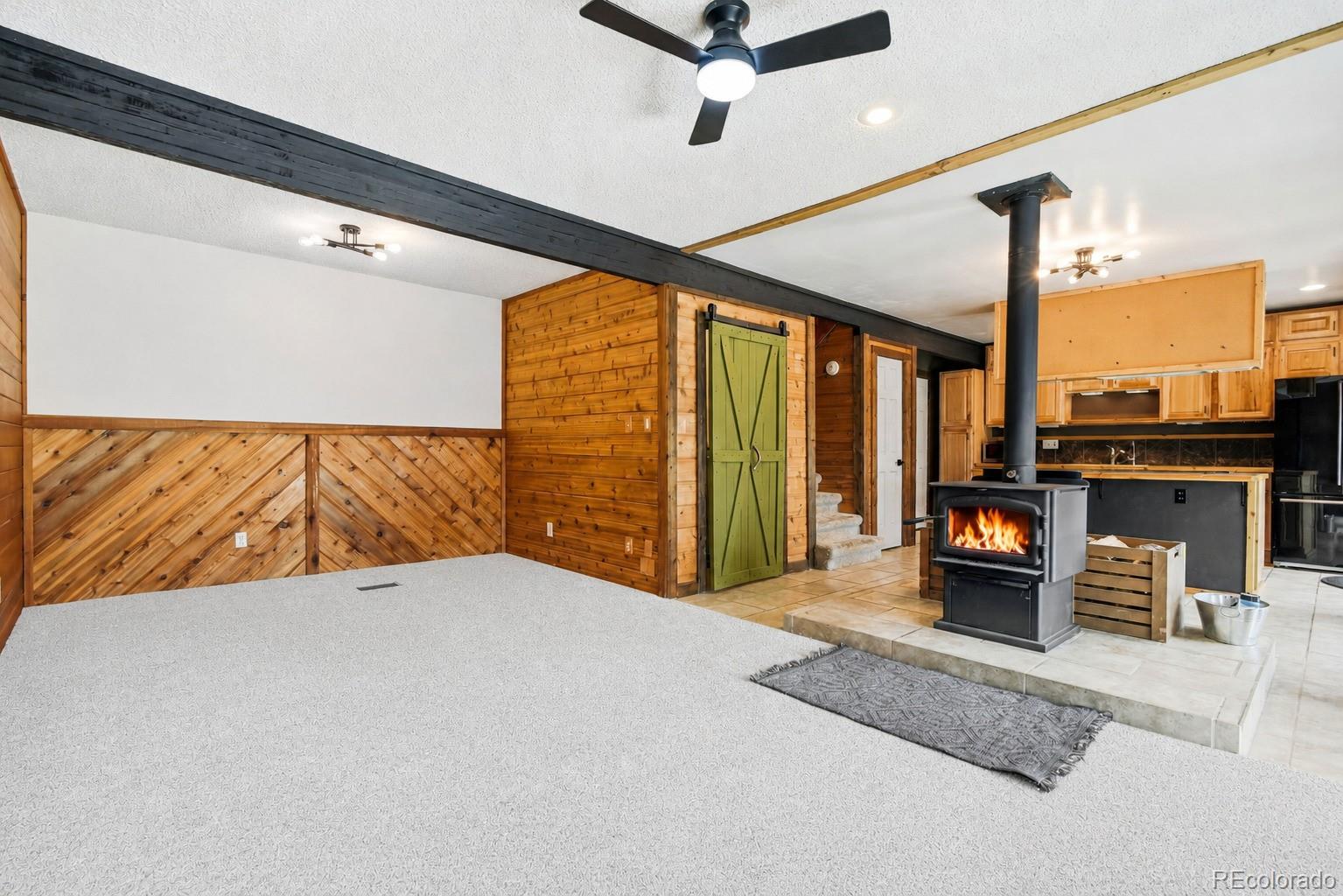 13287 S Otoe Street Pine CO 80470
