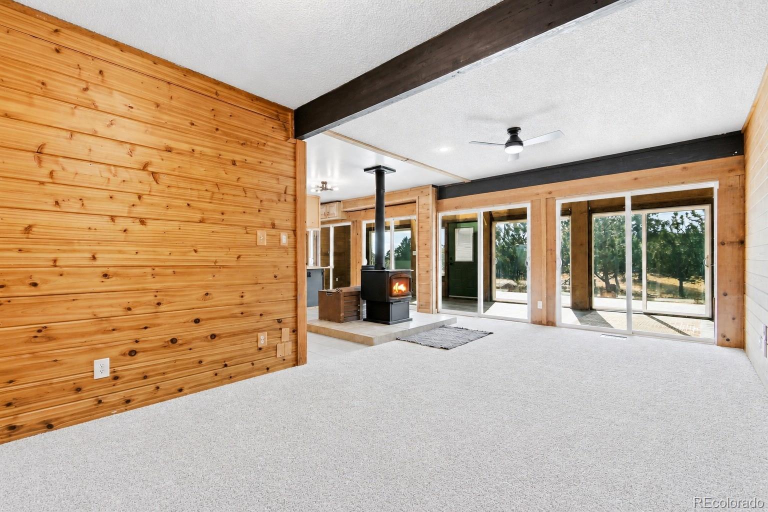 13287 S Otoe Street Pine CO 80470