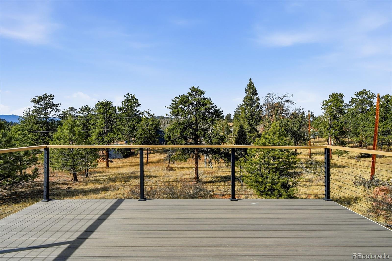 13287 S Otoe Street Pine CO 80470
