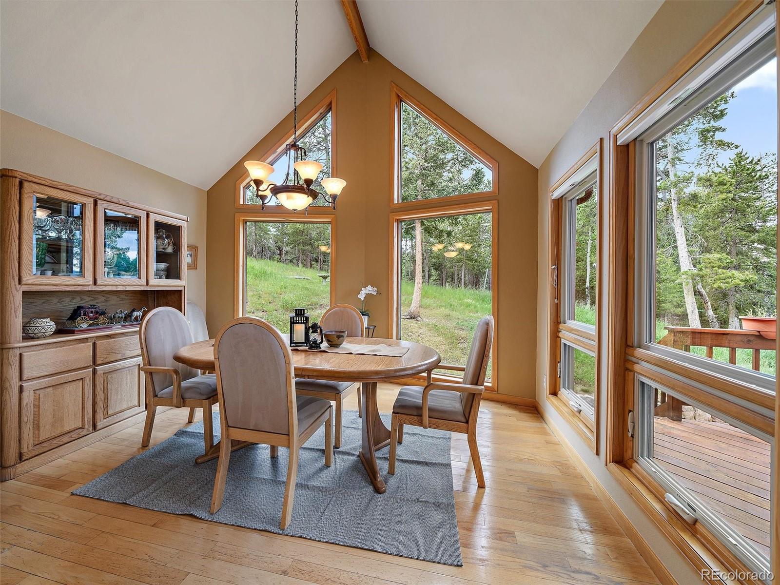 13094 Molly Drive Conifer CO 80433