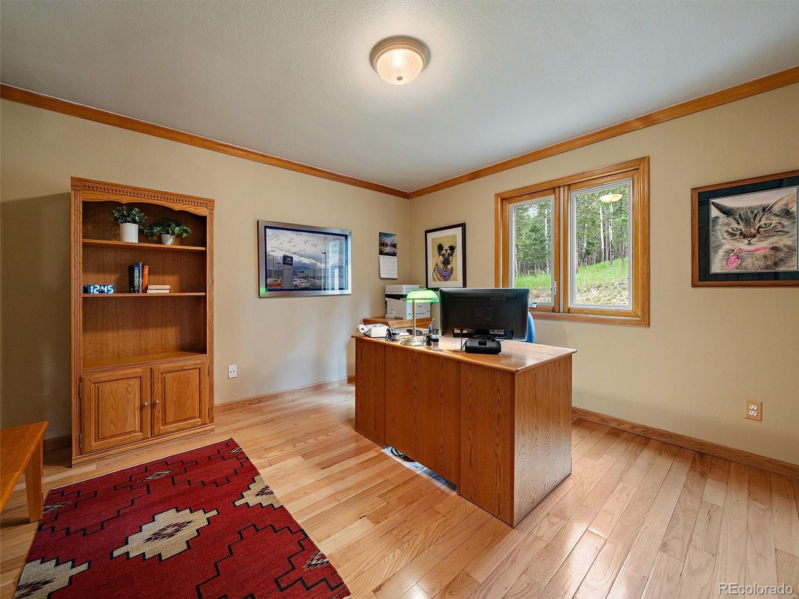 13094 Molly Drive Conifer CO 80433